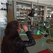 Studentessa di fisica impartisce ripetizioni di matematica e/o fisica preferibilmente a studenti liceali